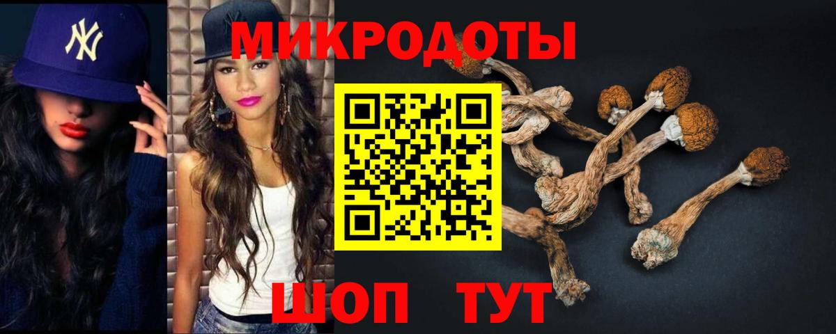 Рыбинск  Псилоцибиновые грибы мухоморы  Вход с VPN  Галлюциногенные грибы Psilocybe 